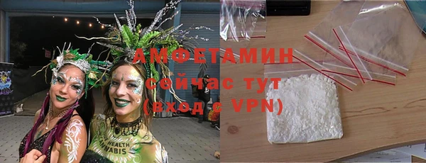 ПСИЛОЦИБИНОВЫЕ ГРИБЫ Абаза
